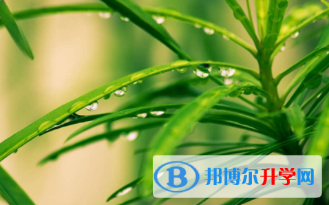 廣安2022年中考各科高頻考點(diǎn)