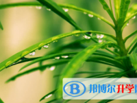 廣安2022年中考各科高頻考點(diǎn)