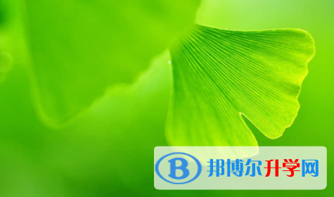 廣安2022年中考體考標(biāo)準(zhǔn)