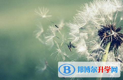 廣安2022年中考報(bào)名網(wǎng)站登錄