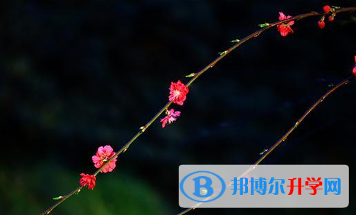 達(dá)州2022年中考網(wǎng)絡(luò)應(yīng)用服務(wù)平臺(tái)成績(jī)查詢