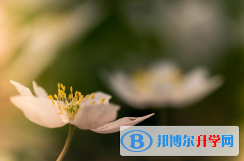 達(dá)州2022年各個(gè)學(xué)校中考錄取線