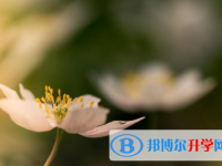 達(dá)州2022年各個(gè)學(xué)校中考錄取線