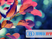 達(dá)州2022年教育網(wǎng)中考查詢