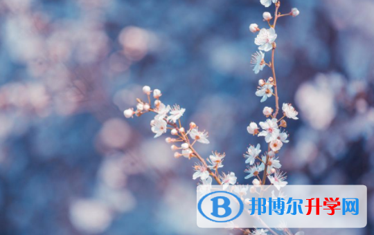 達(dá)州2022年近幾年中考重點(diǎn)線