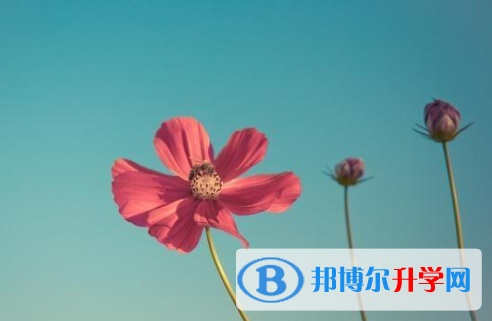 達(dá)州2022年中考報(bào)名網(wǎng)站