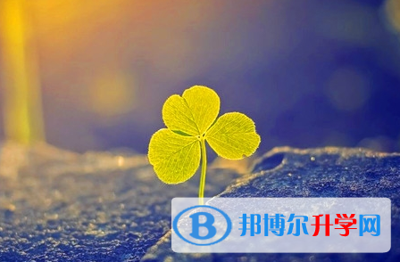 達(dá)州2022年中考查詢系統(tǒng)的密碼記不到了怎么辦