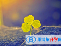 達(dá)州2022年中考查詢系統(tǒng)的密碼記不到了怎么辦