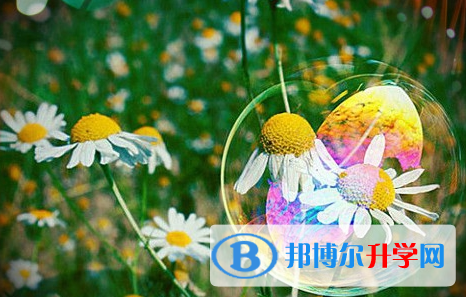 達(dá)州2022年中考成績什么時(shí)候公布