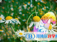 達(dá)州2022年中考成績什么時候公布