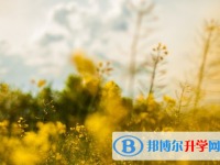 達(dá)州2022年中考特長(zhǎng)生招生簡(jiǎn)章