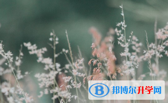 達州2022年中考填志愿的網(wǎng)站