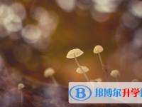 達(dá)州2022年中考網(wǎng)報(bào)