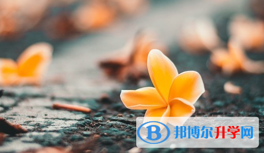 達州2022年中考網(wǎng)登錄