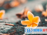 達(dá)州2022年中考網(wǎng)登錄