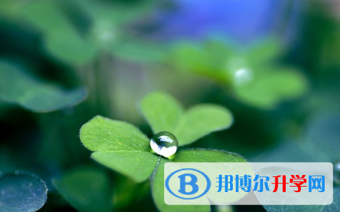 達州2022年中考網(wǎng)上模擬報名