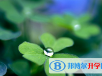 達(dá)州2022年中考網(wǎng)上模擬報(bào)名