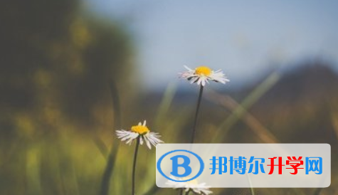 達州2022年中考志愿官網(wǎng)