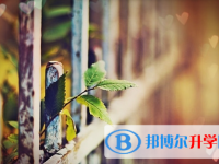 達(dá)州2022年中考志愿填報(bào)網(wǎng)址