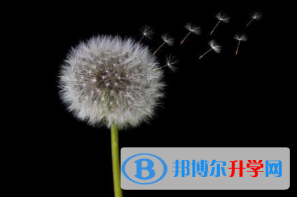 巴中2022年中考推薦生自薦信