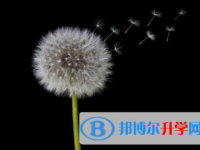 巴中2022年中考推薦生自薦信