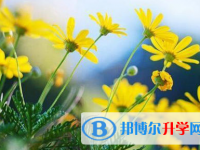 巴中2022年中考報名網(wǎng)站登錄