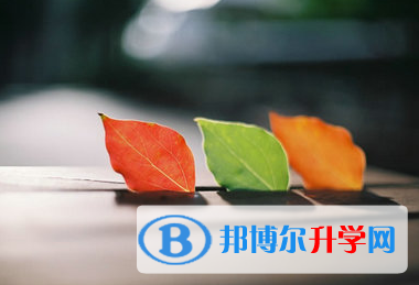 巴中2022年中考志愿填報(bào)技巧