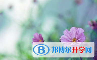 巴中2022年中考志愿填報(bào)網(wǎng)址