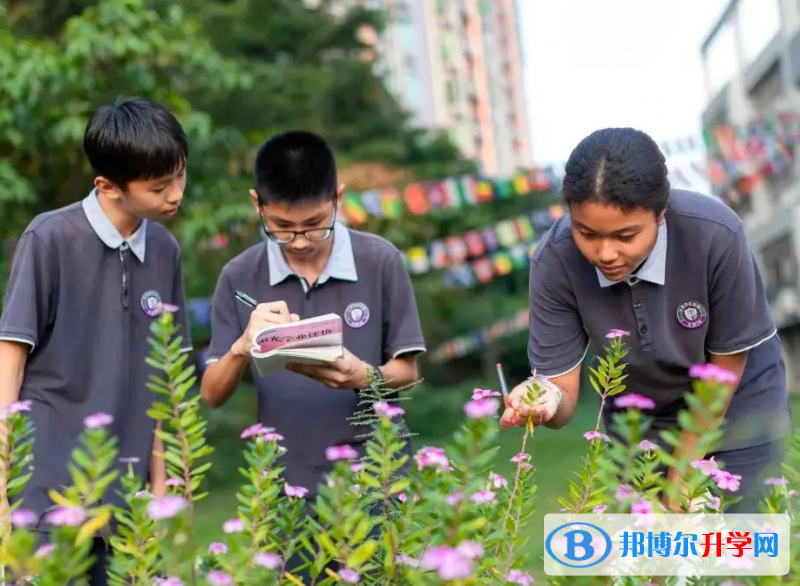 中大附屬外國語實驗中學國際部靠譜嗎