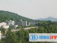 浙江大學(xué)附屬中學(xué)2024年招生簡(jiǎn)章