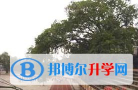 重慶長(zhǎng)生橋中學(xué)校2023年課程體系