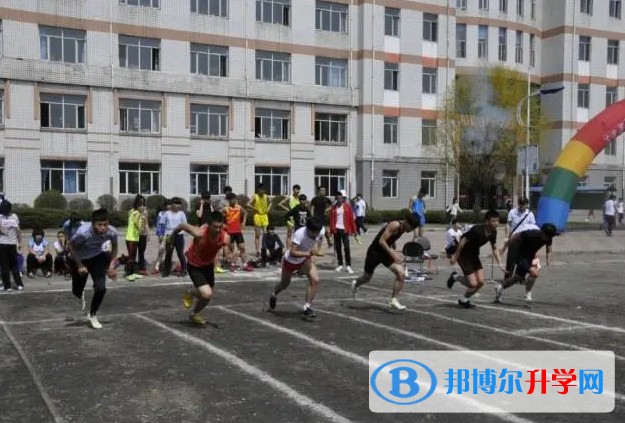 七臺河市第二中學(xué)地址，乘車路線