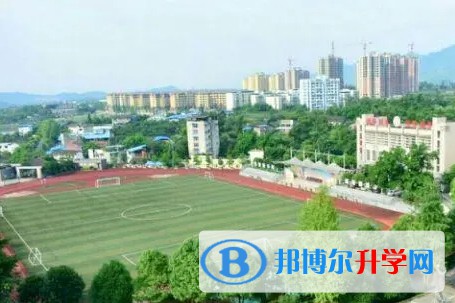 重慶市北碚王樸中學校招生簡章2024年