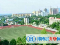 重慶市北碚王樸中學校招生簡章2025年