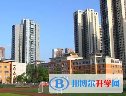 2024重慶市經(jīng)開育才中學(xué)校多少錢(學(xué)費(fèi)明細(xì))